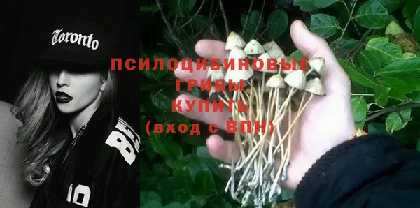 дурь Нефтекумск